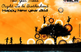Happy New Year 2013 e-Cards img