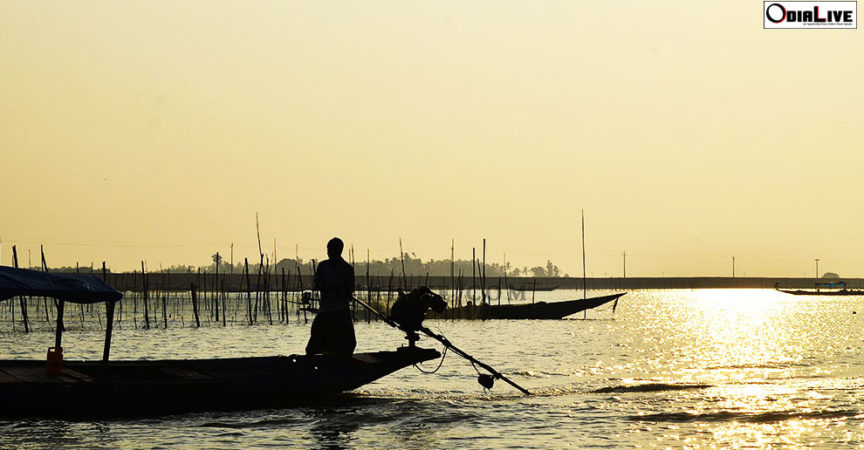 Chilika Lake : A Photo Story img